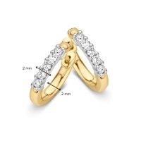 Oorringen bicolor briljant 020 crt.