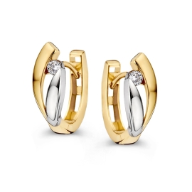 Oorringen bicolor zirkonia
