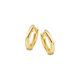 Oorringen geelgoud