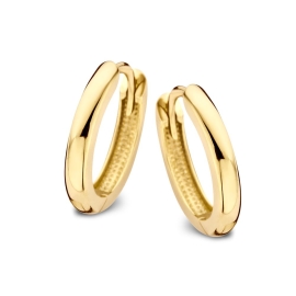 Oorringen geelgoud