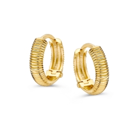 Oorringen geelgoud