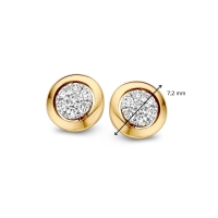 Oorstekers bicolor briljant 014 crt.