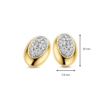 Oorstekers bicolor briljant 020 crt.