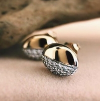 Oorstekers bicolor briljant 030 crt.