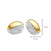 Oorstekers bicolor briljant 030 crt.