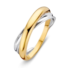 Ring bicolor