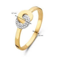 Ring bicolor briljant 0.06 crt.