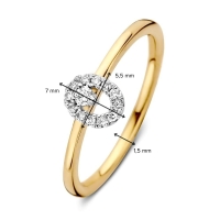 Ring bicolor briljant 0.11 crt.