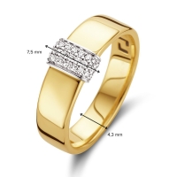 Ring bicolor briljant 0.11 crt.