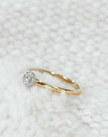 Ring bicolor briljant 0.15 crt.