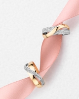 Ring bicolor briljant 0.26 crt.