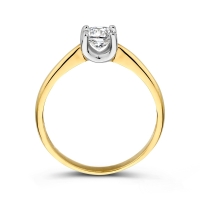 Ring bicolor zirkonia