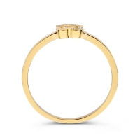 Ring geelgoud briljant 0.04 crt.