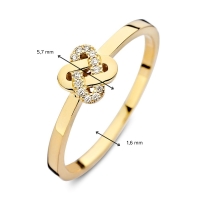 Ring geelgoud briljant 0.04 crt.