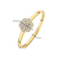 Ring geelgoud briljant 0.16 crt.