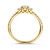 Ring geelgoud briljant 0.46 crt.