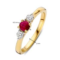 Ring geelgoud briljant robijn