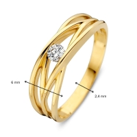 Ring geelgoud zirkonia